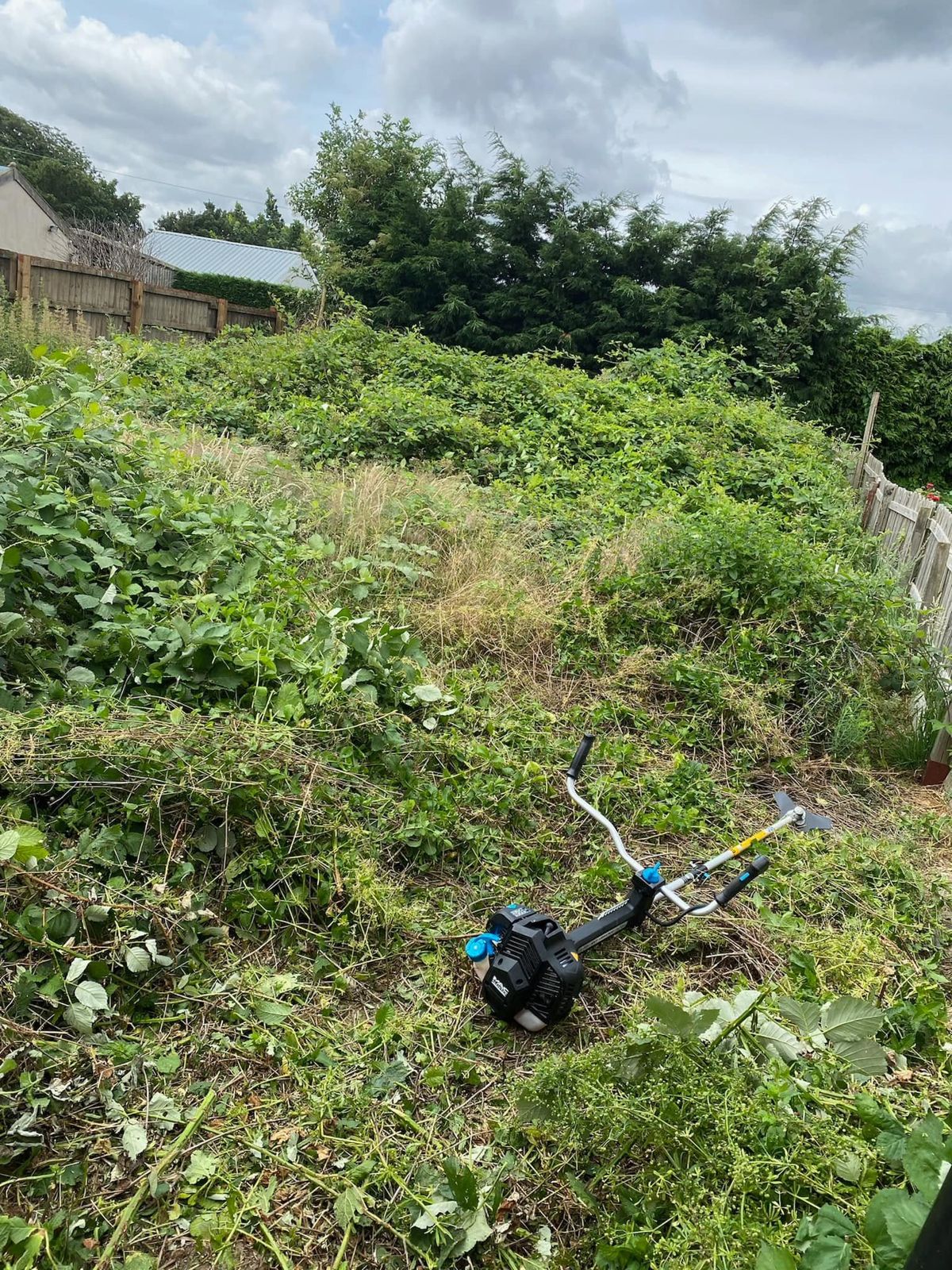 A badly overgrown garden part way through being cut back, with a strimmer on the ground